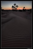 Sahara Sunset